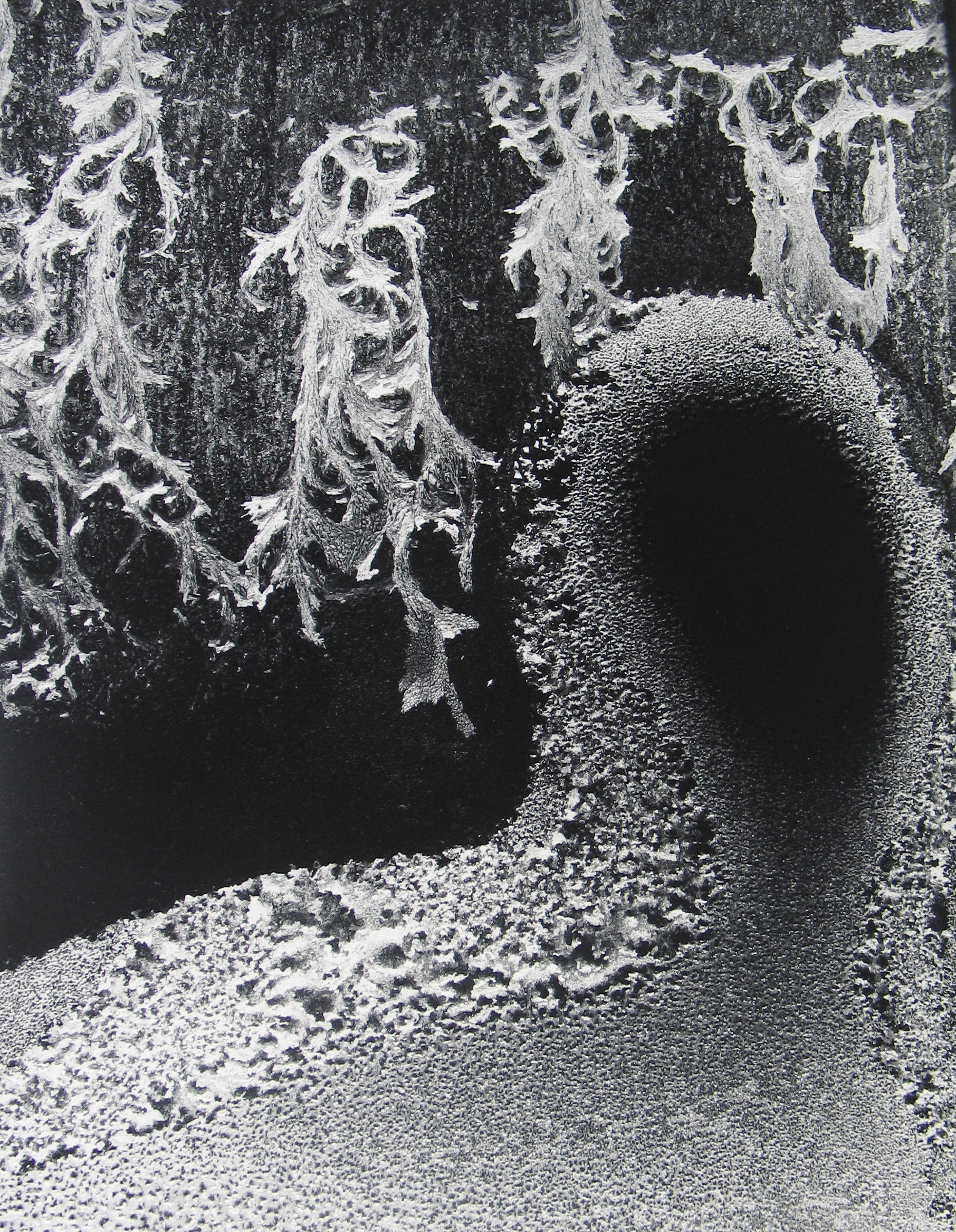アート・デザイン・音楽 EYE MIND SPIRIT: Minor White Minor White: Eye Mind Spirit | Howard Greenberg Gallery